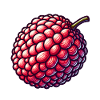 Bunte und detaillierte Litschi-Illustration