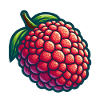 Lychee Natural Illustration