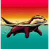 loutre