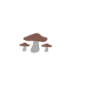 Champignon Heartbeat