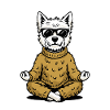 West Highland white terrier médite