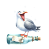 maritim Möwe Flaschenpost Möwen