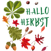 Hallo Herbst Herbstliche Blätter und Eicheln 