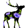 Cerf