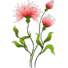 Fleur