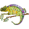 Caméléon