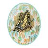 Butterfly Swallowtail - Sonja Ariel