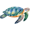 Sea Turtle Animal Lover