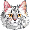 Realistische Katzenporträt-Illustration