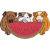 Playful Guinea Pigs and Watermelon Illustration