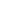 Karaoke Queen Microphone
