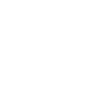 Karaoke King Microphone 