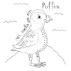 Playful puffin