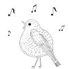 Eleganter singender Vogel in Schwarz-Weiß