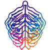 Conception de circuits neuronaux à feuilles