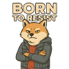 Shiba Inu charm rebellious style