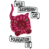 Raspberry le chat