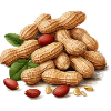 Roasted peanuts with leaf detail