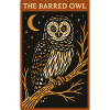 Nighttime Barred Owl Illustration