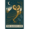 Mystic Owl Under Night Sky