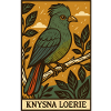 Knysna Loerie Illustration