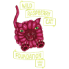 Wild Raspberry Cat