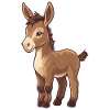 donkey