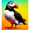 puffin