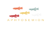 Aphyosemion Prachtkärpfling Aquaristik retro