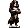 Münsterländer Münsterländer owner Münsterhund
