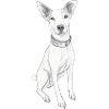 Bodeguero Andaluz in sketch style