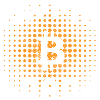 Crypto Dad
