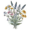 Wildflower Botanical Illustration