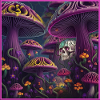 Mystic Mushroom Skull Forest