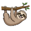 Playful sloth