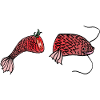 Tomato fish