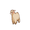 Kaffee und Angoraziege