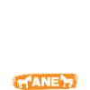 TEXTOU COMME UN ANE