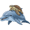 Meeresabenteuer mit Schildkröte und Delfin