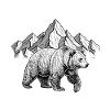 Alaska Mountain Bear Illustration