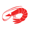 Shrimp