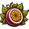 Illustration der exotischen Passionsblume