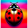 ladybird