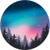 Nachthimmel, Aurora, Waldlandschaft