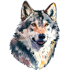 Wolf Portrait Animal Lover