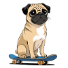 For dog and skateboard lovers