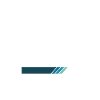 Gift Profession Training Fleet Manager