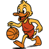 ente basketball
