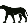 panther animal