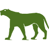 panther animal